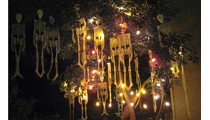 Halloween skeleton decorations hanging from a tree