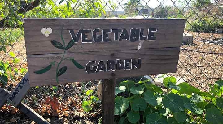 vegetable garden sign on chain link fence