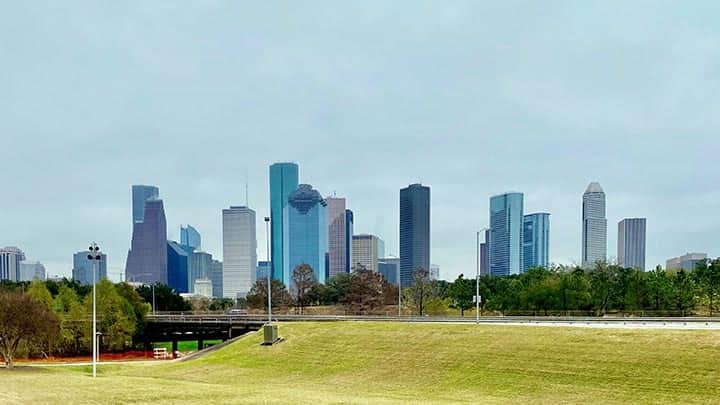 downtown houston skyline from a park