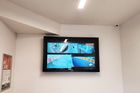 Property 1745 image number 3