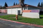 Property 228 image number 0